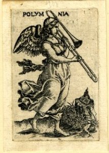 credit: Will Kimball